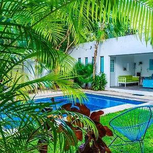 Guest house Casa Borush By Ecoplaneta